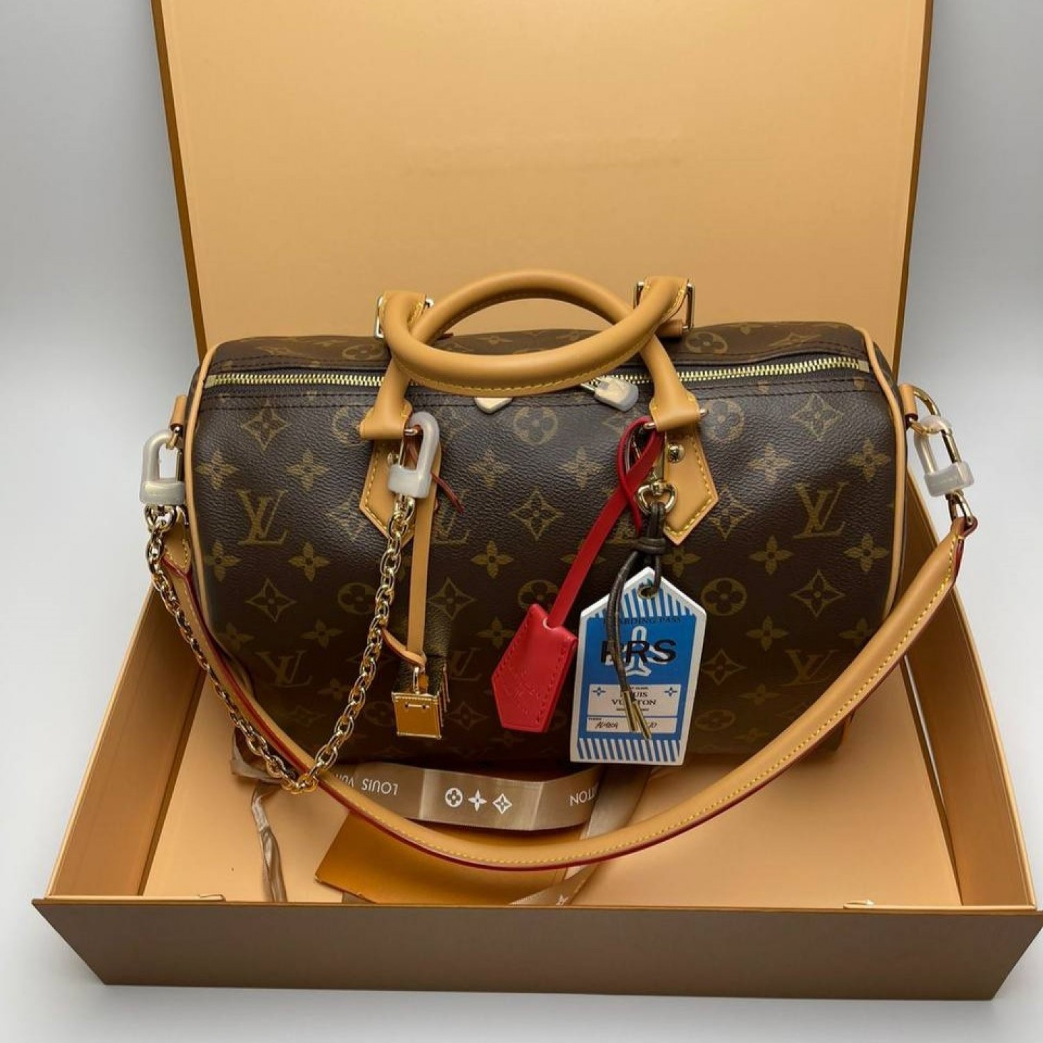 Сумка Louis Vuitton Speedy