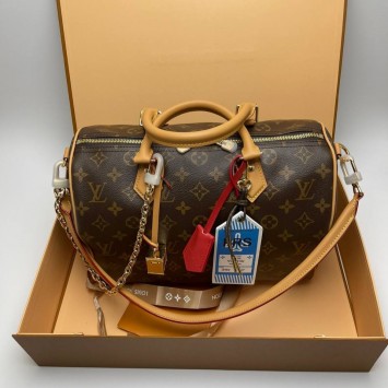 Сумка Louis Vuitton Speedy