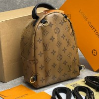 Рюкзак Louis Vuitton Palm Springs Mini 