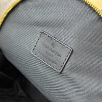 Рюкзак Louis Vuitton Palm Springs Mini 