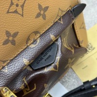 Рюкзак Louis Vuitton Palm Springs Mini 