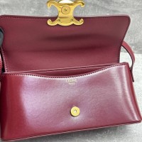 Сумка Celine  Triomphe Canvas
