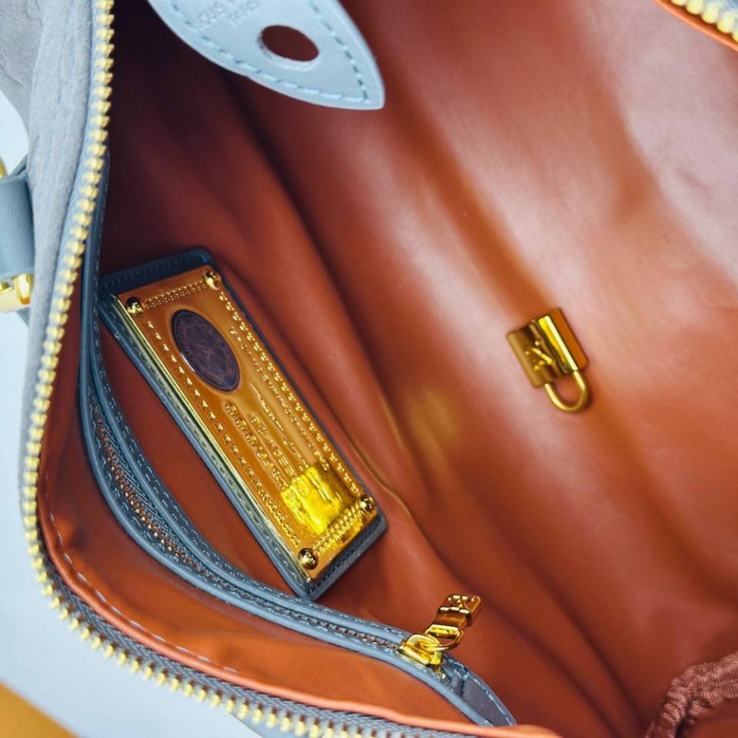 Сумка Louis Vuitton Speedy Soft 30