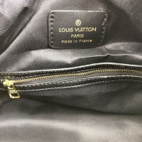 Сумка Louis Vuitton Speedy 25