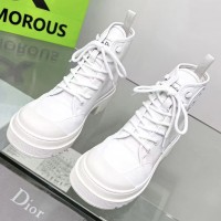 Ботинки Dior D-Rise