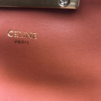 Кожаная сумка Celine Triomphe