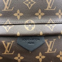 Рюкзак Louis Vuitton PALM SPRINGS MM 